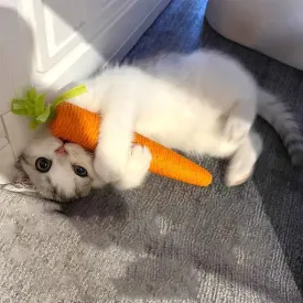 Cat Toys Sound Carrot - Cuddle Cat Stick - Fun Teething Stick - Anti-Bite Cat Scratch Board - Pet Supplies