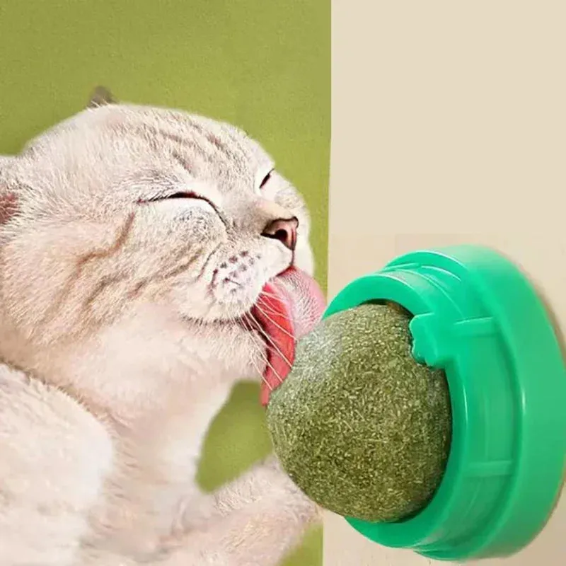 Catnip Wall Ball Toy & Snack