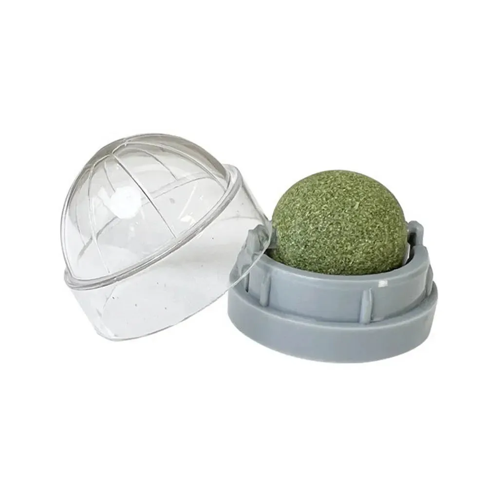 Catnip Wall Ball Toy & Snack