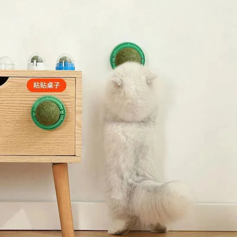Catnip Wall Ball Toy & Snack