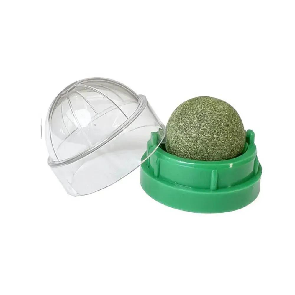 Catnip Wall Ball Toy & Snack