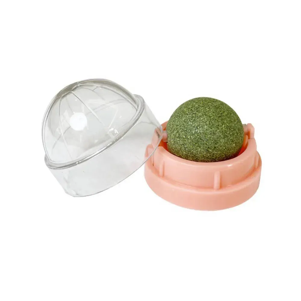 Catnip Wall Ball Toy & Snack
