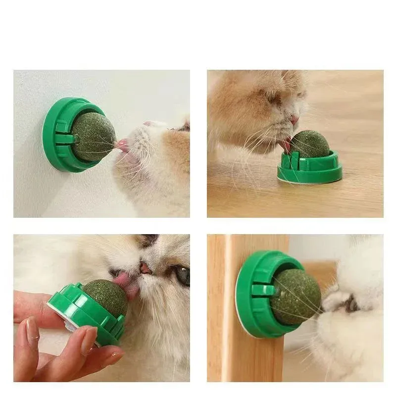 Catnip Wall Ball Toy & Snack
