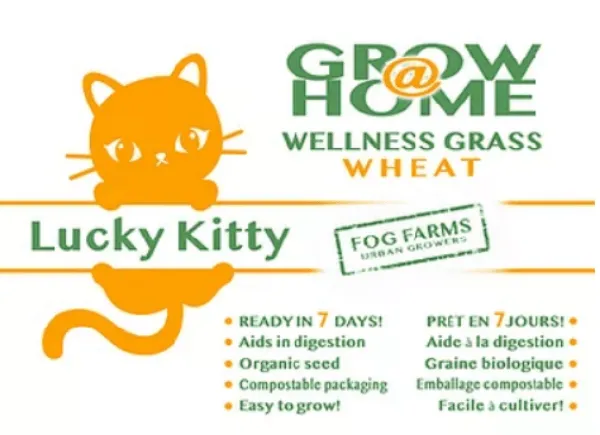 Lucky Kitty Grow @ Home Cat Grass Home Grow Kit; Wheat