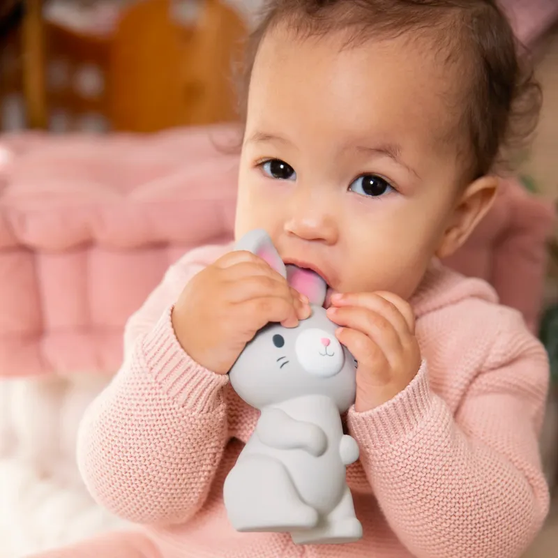 Natural Rubber Teether Toy