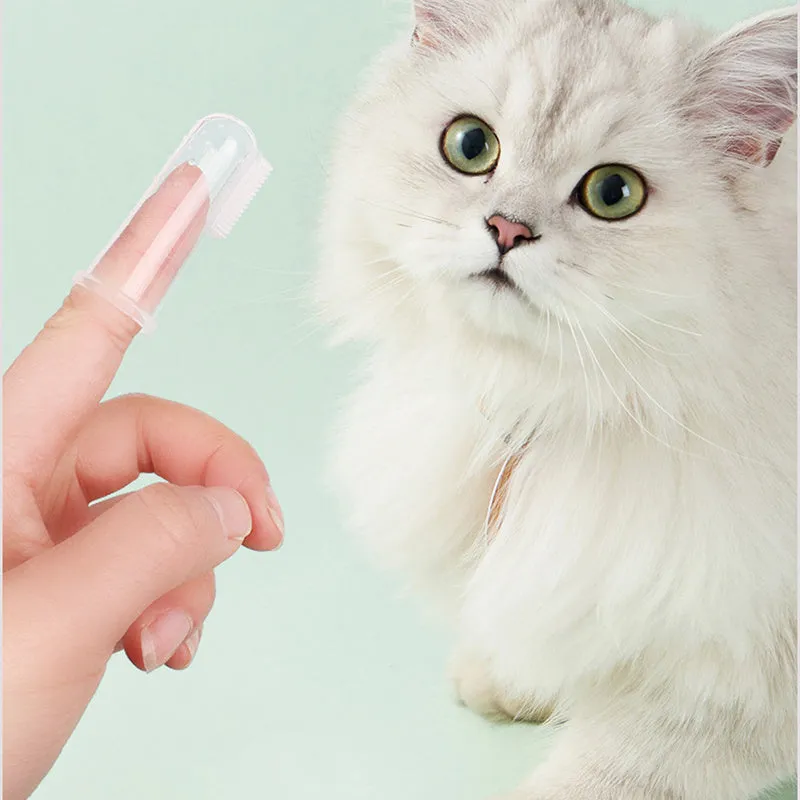 Oral Hygiene Kit For Cats And Dogs 3 Piece Set With Dual Ended Toothbrush