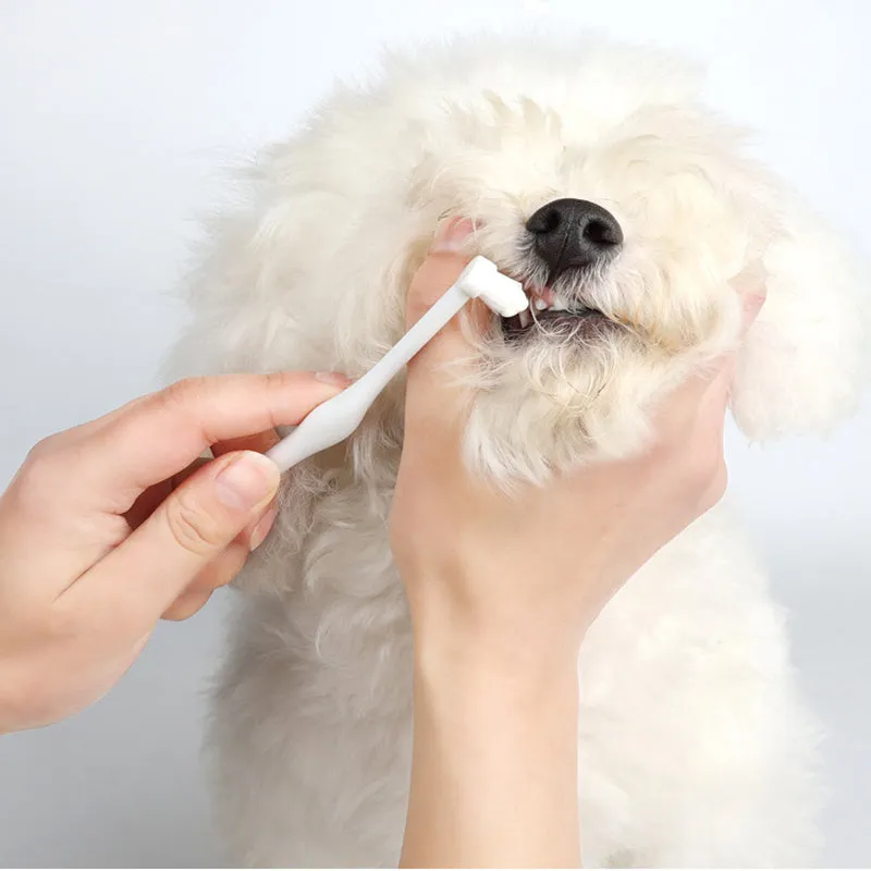 Oral Hygiene Kit For Cats And Dogs 3 Piece Set With Dual Ended Toothbrush