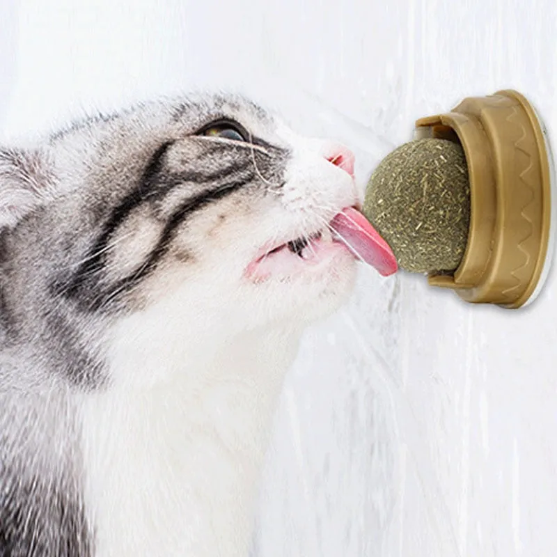Pat and Pet Emporium | Pet Chew Toys | Catnip Ball | Wall Stick-on