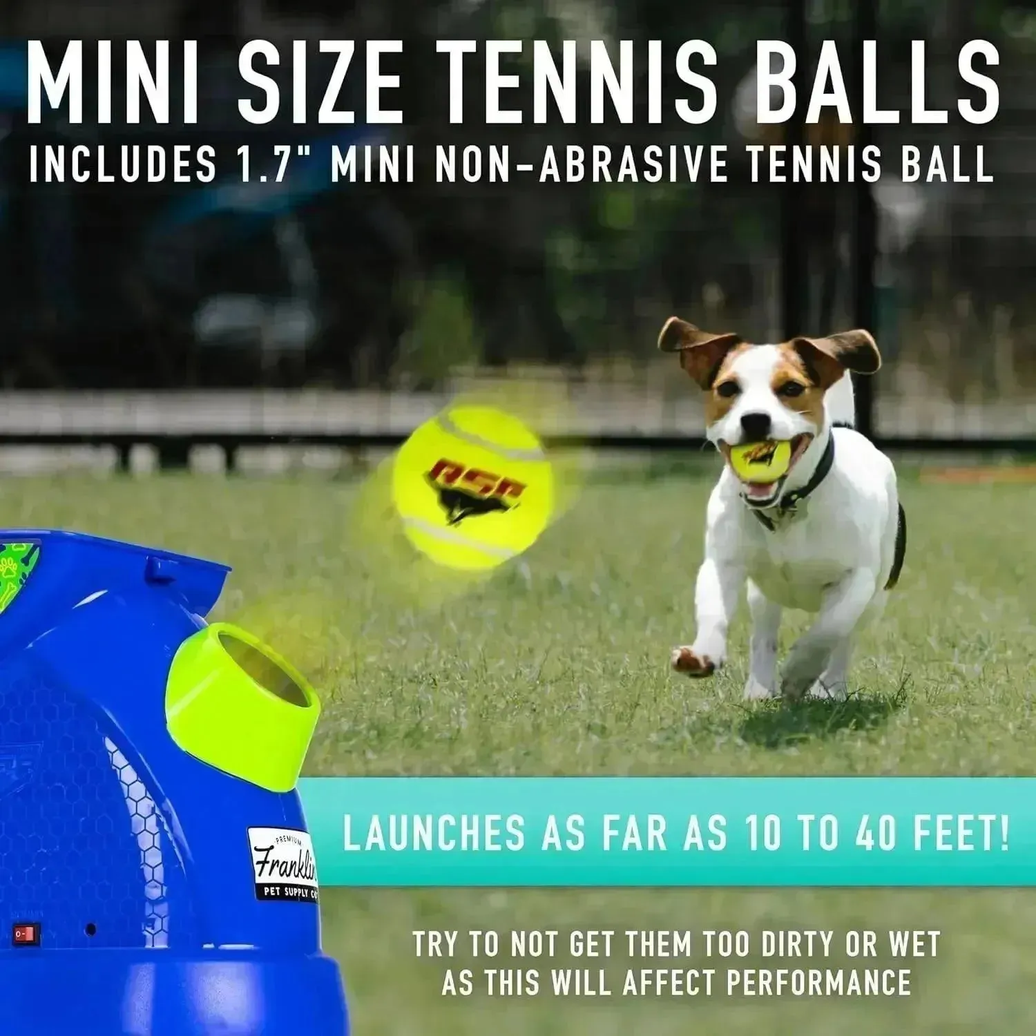 Pet Supply Mini Automatic Tennis Ball Launcher