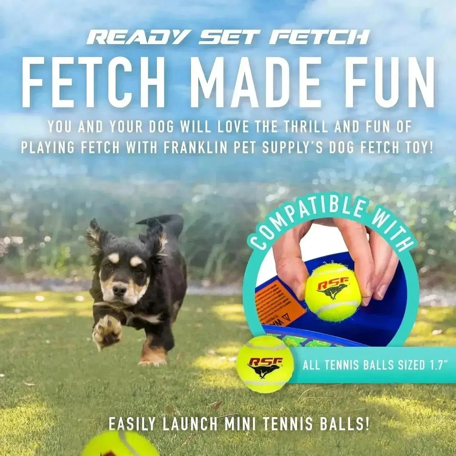Pet Supply Mini Automatic Tennis Ball Launcher