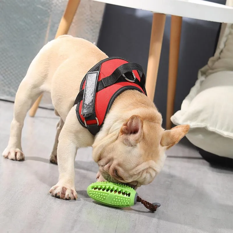Pre-Sale>>DOG TOOTHBRUSH TOY