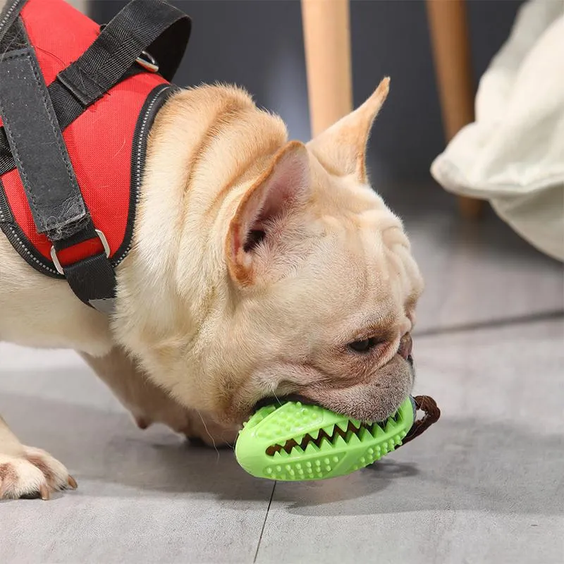 Pre-Sale>>DOG TOOTHBRUSH TOY