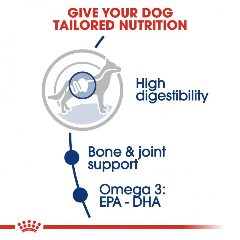 Royal Canin Size Health Nutrition Maxi Adult Dry Dog Food