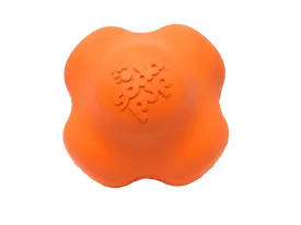 SP Crazy Bounce Retrieving Toy